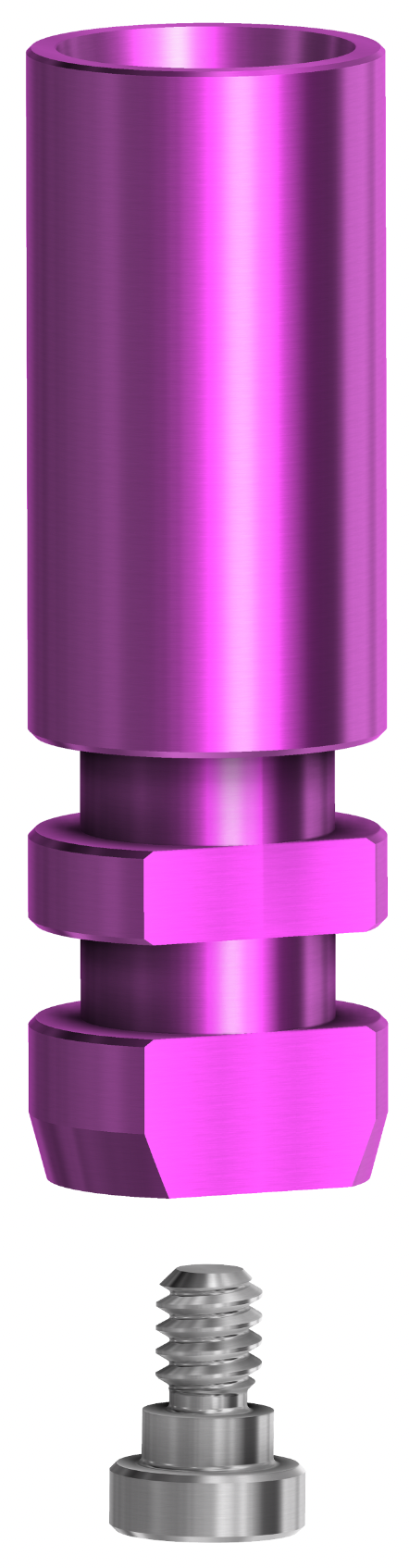 DESS Conic MC (Mis®C1 internal) & Conic MV (Mis®V3) - Digital Analogue (SP)