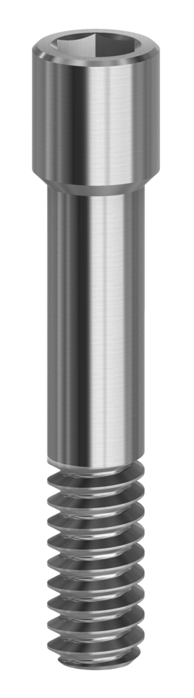 DESS Internal CAM (Camlog®) - Screw Hex 1.22mm