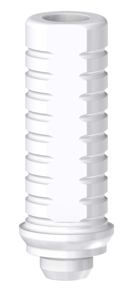 DESS Internal CAM (Camlog®) - Castable